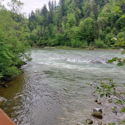 WhatsApp Image 2026-03-11 at 10.06.35 PM(2)